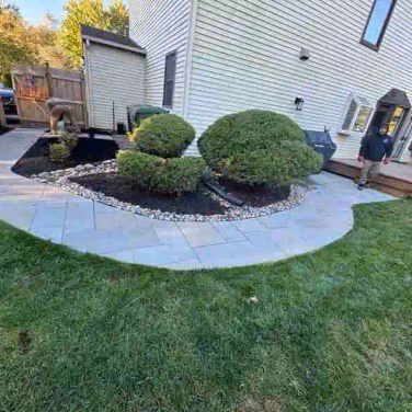 bushes on mulch next to path