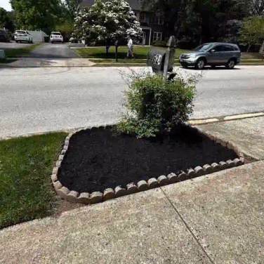 bush on mulch on corner
