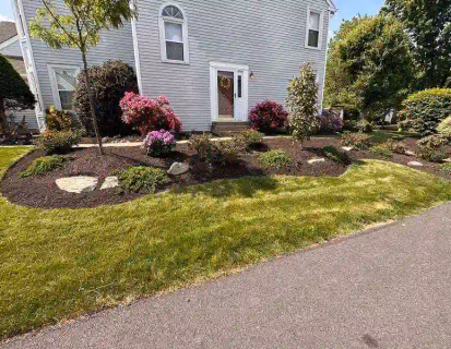 yard