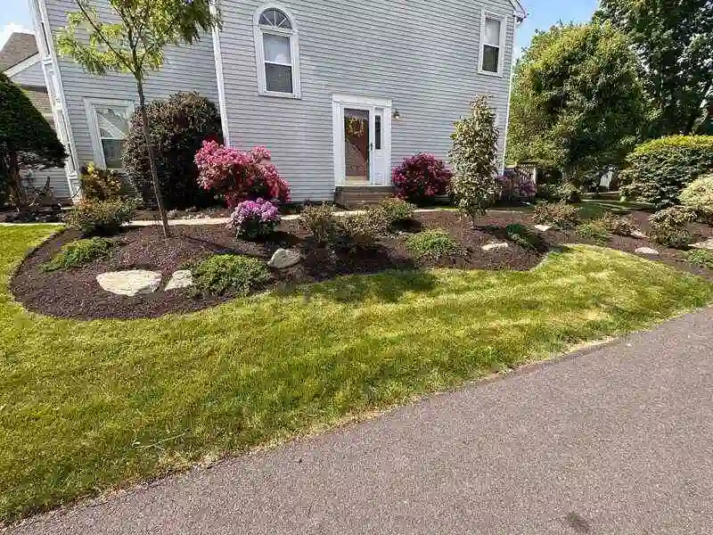 front yard