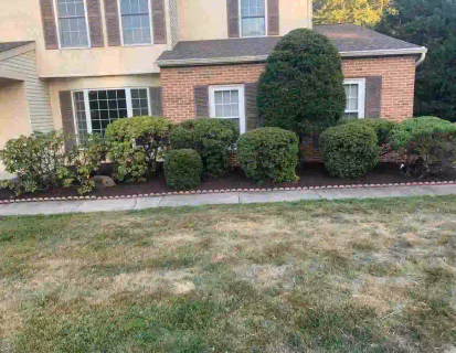 yard