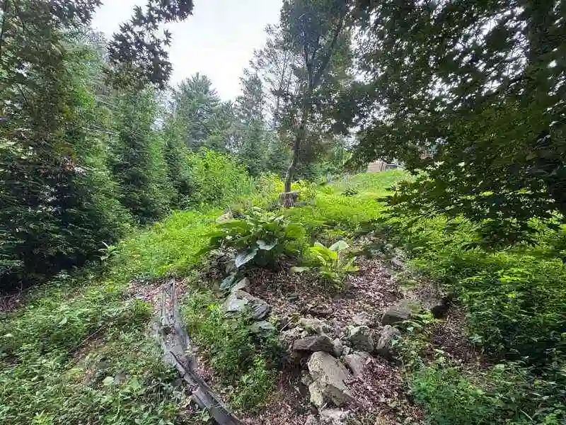 yard